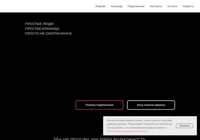 Снимок главной страницы bfnaprostom.ru