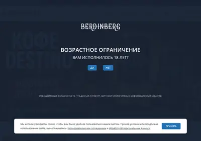 Снимок главной страницы berdinberg.ru