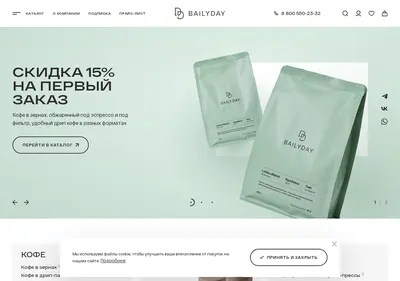 Снимок главной страницы bailyday.ru