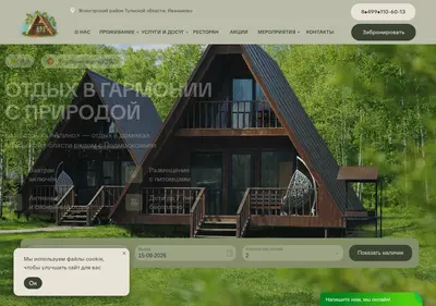Снимок главной страницы alinohotel.ru