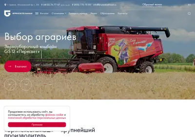 Снимок главной страницы bryanskselmash.ru
