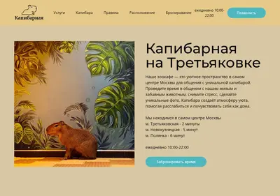 Снимок главной страницы capybarnaya.ru