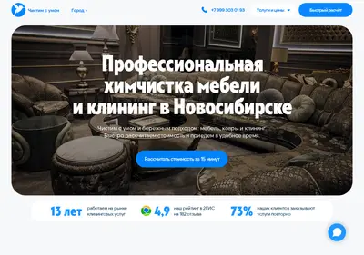 Снимок главной страницы chistimsumom.ru