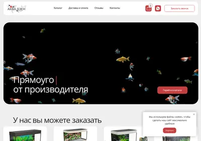 Снимок главной страницы aquadzen.ru