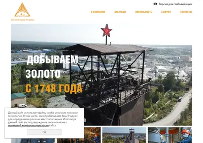 Снимок главной страницы bru96.ru