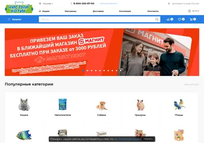 Снимок главной страницы chistyi-kotik.ru