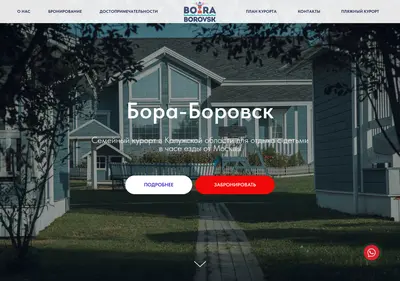 Снимок главной страницы bora-borovsk.ru