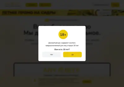 Снимок главной страницы anybeer.ru