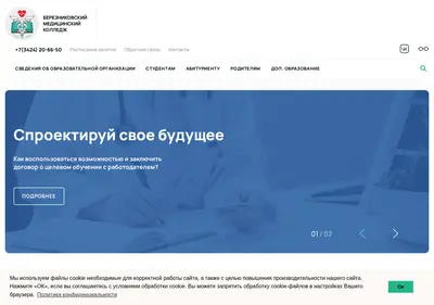 Снимок главной страницы bmu59.ru