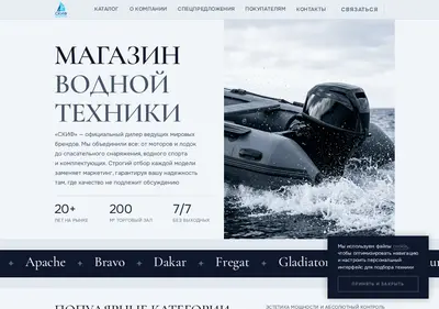 Снимок главной страницы skif-don.ru