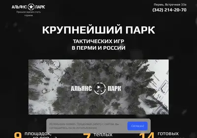 Снимок главной страницы allianceperm.ru