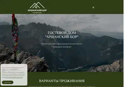 Снимок главной страницы arshanbor.ru
