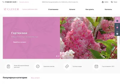 Снимок главной страницы clever-sad.ru