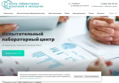 Снимок главной страницы chellab.ru