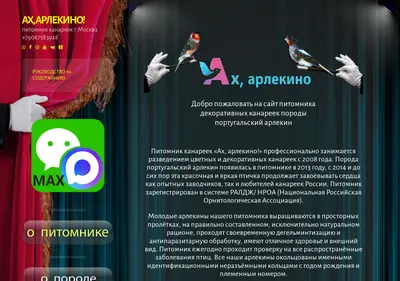 Снимок главной страницы ah-arlekino.ru