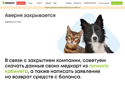 Снимок главной страницы averia.ru