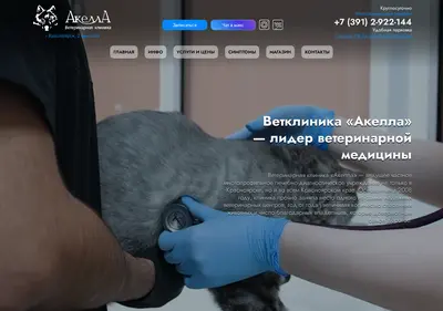 Снимок главной страницы akella24.ru