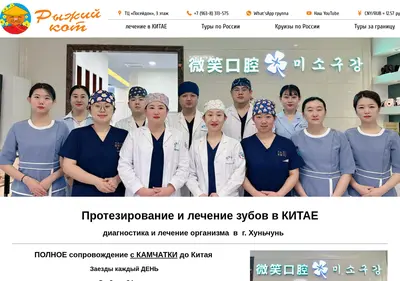 Снимок главной страницы chinacat.ru
