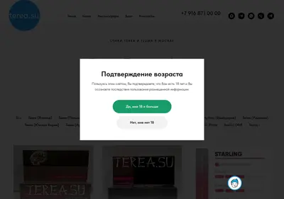 Снимок главной страницы terea.su