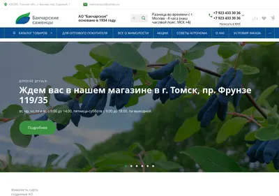 Снимок главной страницы bakcharopss.ru