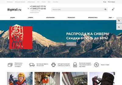 Снимок главной страницы bigwall.ru