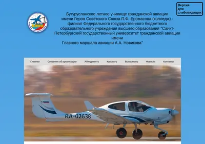 Снимок главной страницы bluga.ru