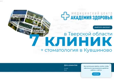 Снимок главной страницы academia69.ru