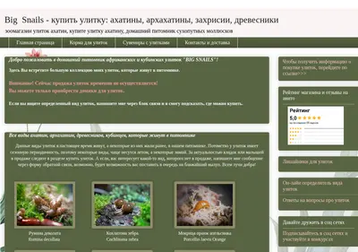 Снимок главной страницы bigsnails.ru