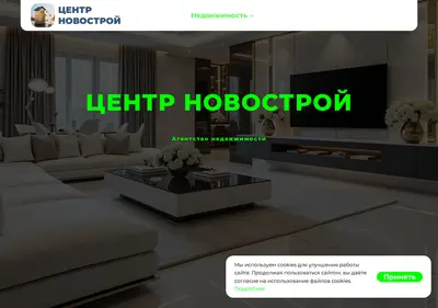 Снимок главной страницы centr-novostroj.ru
