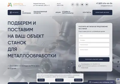 Снимок главной страницы ammeta.ru