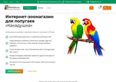 Снимок главной страницы 4parrots.ru