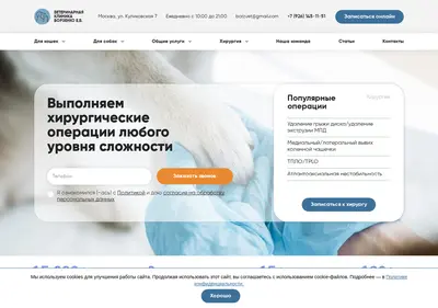 Снимок главной страницы borzvet.ru