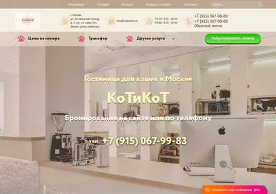 Снимок главной страницы catandcat.ru