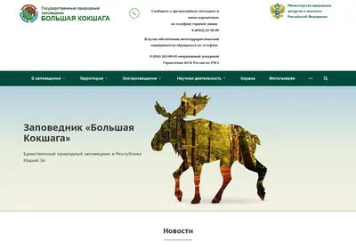 Снимок главной страницы b-kokshaga.ru