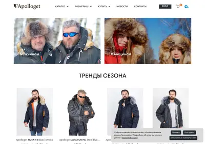Снимок главной страницы apolloget.ru