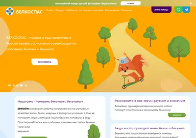 Снимок главной страницы belkospas.ru