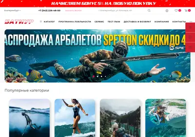 Снимок главной страницы batiur.ru