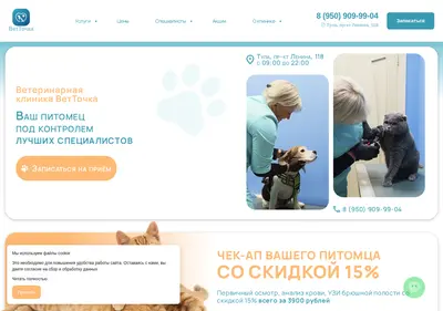Снимок главной страницы 4ltulavet.ru