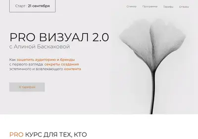 Снимок главной страницы baskakovaa.ru