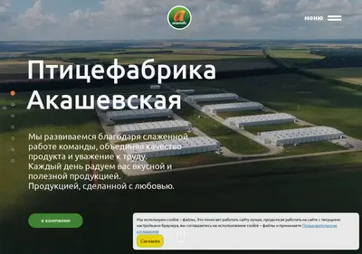 Снимок главной страницы akashevo.ru