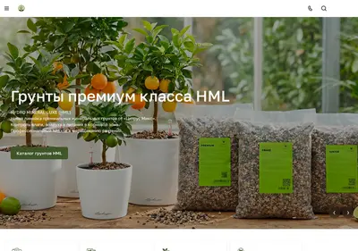 Снимок главной страницы citrus-mix.ru