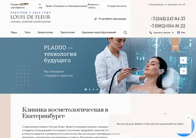 Снимок главной страницы clinic-ldf.ru