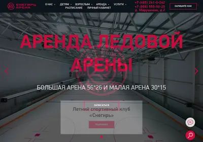 Снимок главной страницы arenasnegir.ru
