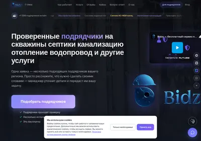 Снимок главной страницы bidzy.ru