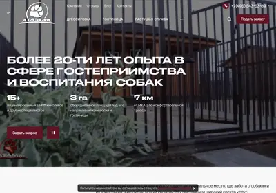 Снимок главной страницы ataman-center.ru