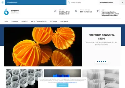 Снимок главной страницы bire-max.ru