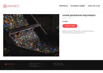 Снимок главной страницы araneo.su