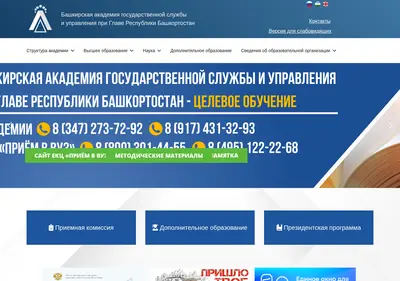 Снимок главной страницы bagsurb.ru