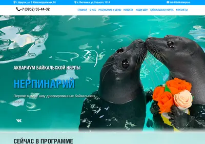 Снимок главной страницы baikalnerpa.ru