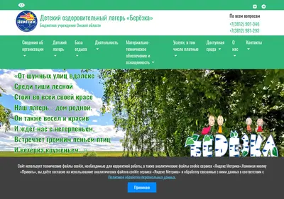 Снимок главной страницы berezka55.ru